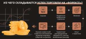 foreks-kak-uspeshno-torgovat-na-valjutnom-rynke