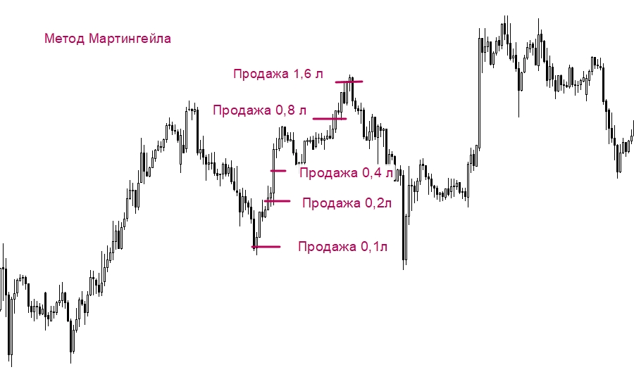 sovetniki-foreks-dlja-razgona-depozita-kak-vybrat-i-ispolzovat