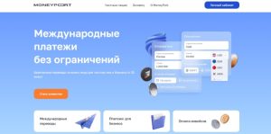 Куда уходят платежи после отказа банков: ТОП-10 сервисов международных переводов 2026 года